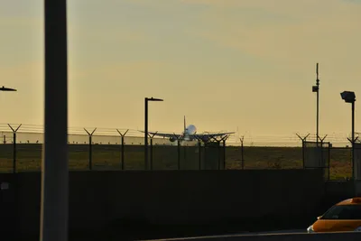 DSC_5700 (Large).JPG